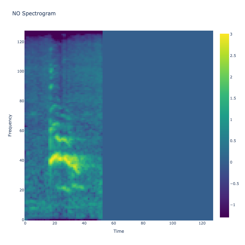 No Spectrogram
