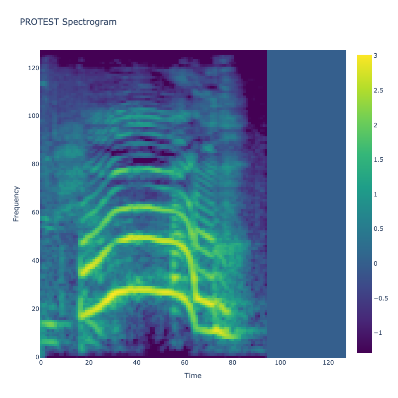 Protest Spectrogram