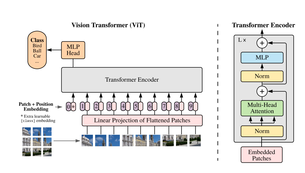 ViT Model Architecture
